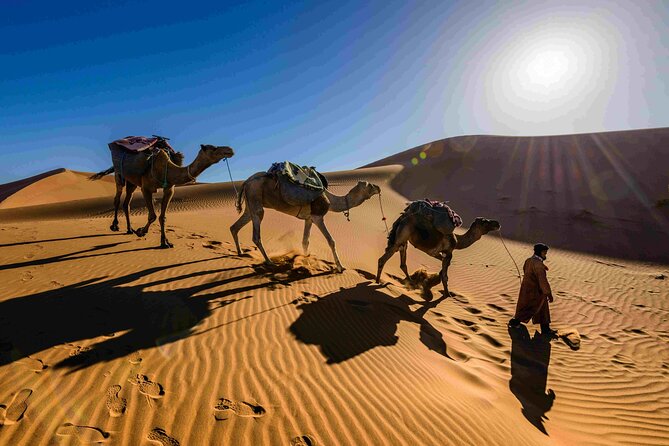 Pushkar Camel Safari Adventure
