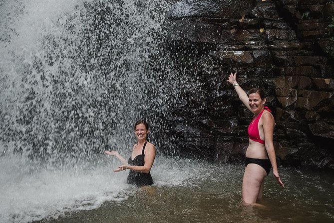 Rainforest Bathing Tour