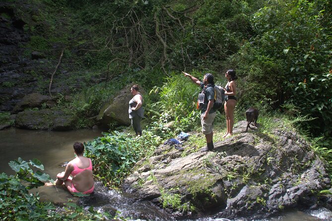 Rainforest Tour in San Juan, Puerto Rico