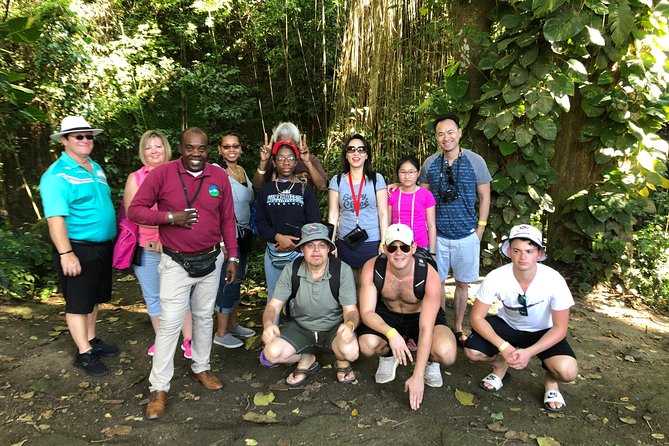 Rainforest Tours in St. Kitts