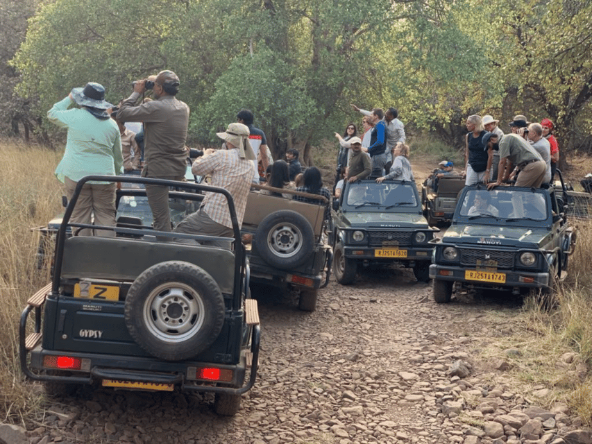 Ranthambore: National Park Safari (Bengal Tiger) Spotting