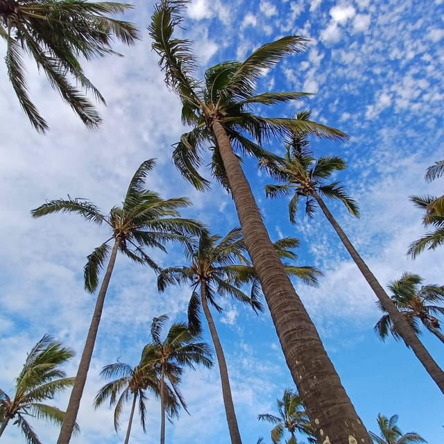 25 Best Tours In Hanga Roa