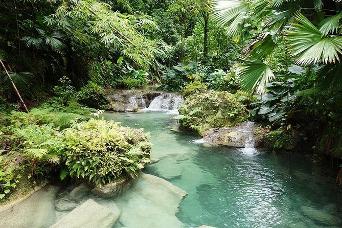 Reach Falls Adventure Tour From Kingston