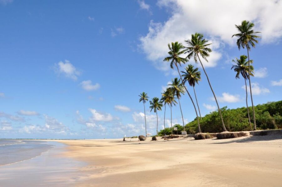 Recife: Tour to Porto De Galinhas - Tour Duration and Language