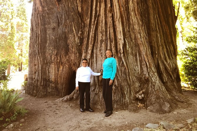 Redwood National Park Tour 3-Day Private Tour Package Hotel Included