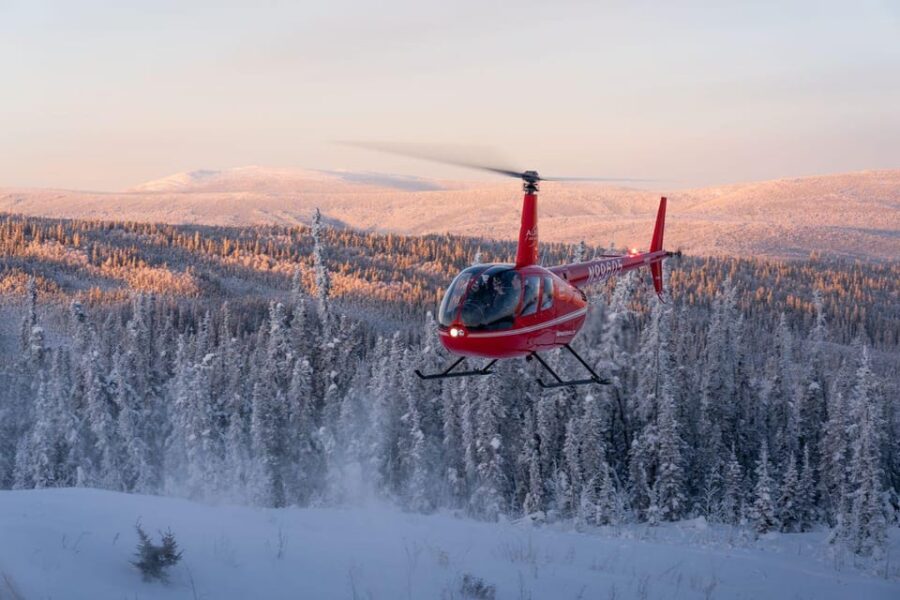 5 Best Lunch Experiences In Fairbanks