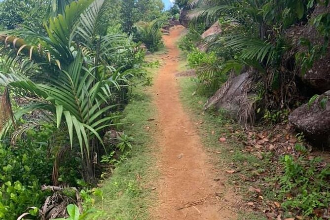 Relaxed Hike to Anse Major | Mahé | Seychelles | Private Tour | Perfect