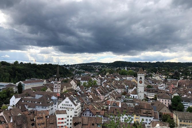 Rhine Falls and Stein Am Rhein (Private Tour)