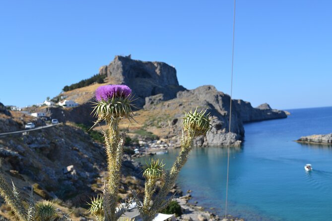 Rhodos-Vip: Guided Tour to Lindos Village + Butterflies Valley
