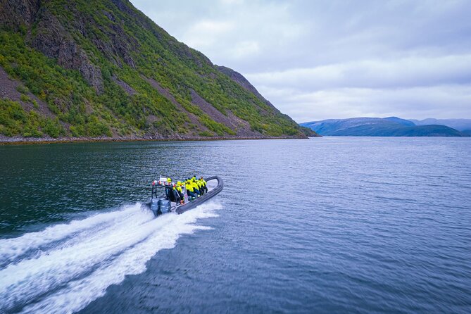 RIB Expedition to Seiland National Park – 3.5h