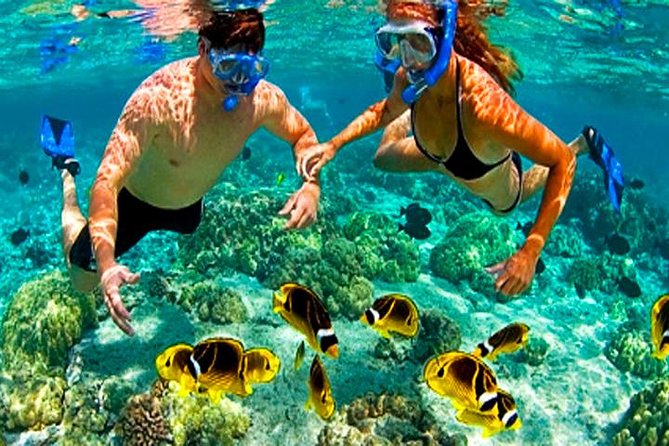 Roatan Buggy Adventure, Snorkeling, Beach Pass Plus Private Transfer
