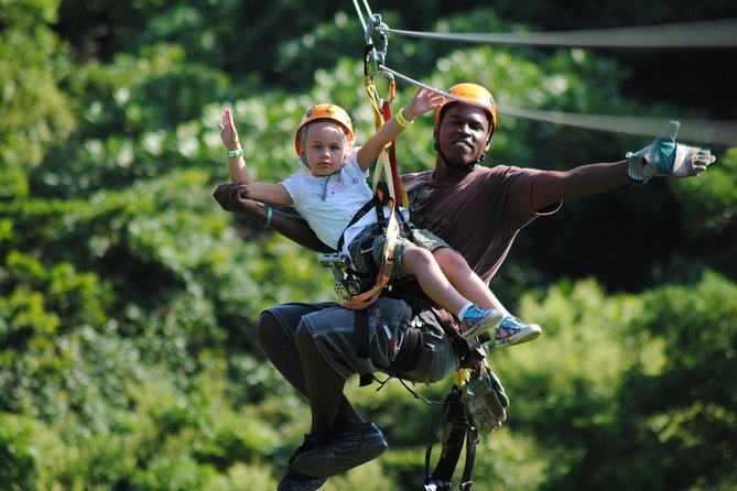 Roatán: Zipline Tour Only