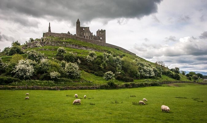 Rock Of Cashel And Blarney Castle Private Chauffeur Full Day Sightseeing Tour
