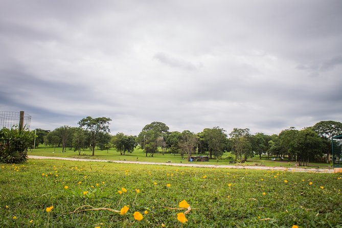Romantic Tour in Campo Grande