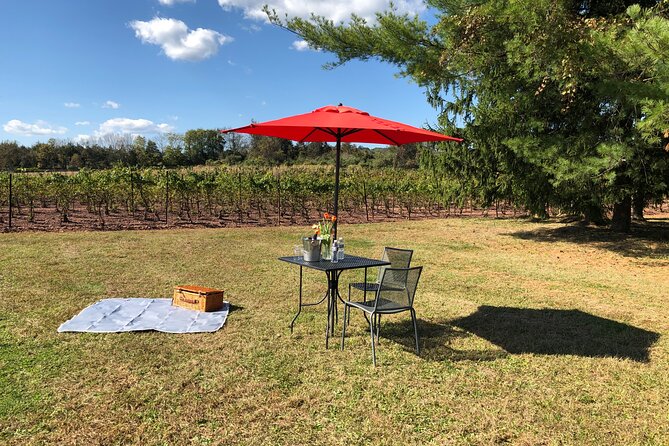 Romantic Vineyard Picnic via Private Helicopter From NYC