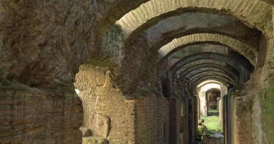Rome: Colosseum Special Entry Arena Floor & Roman Forum Tour