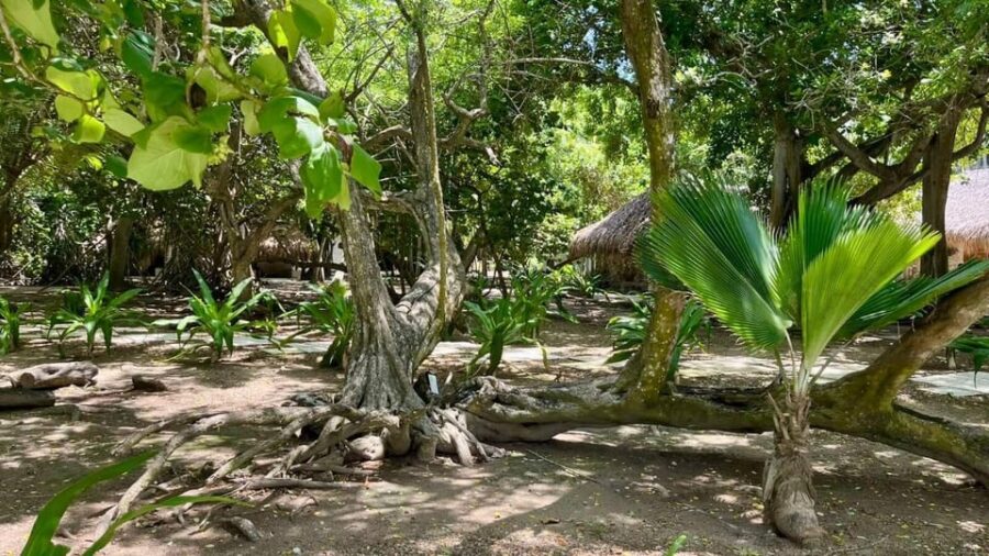 Rosario Islands Upscale Day Tour