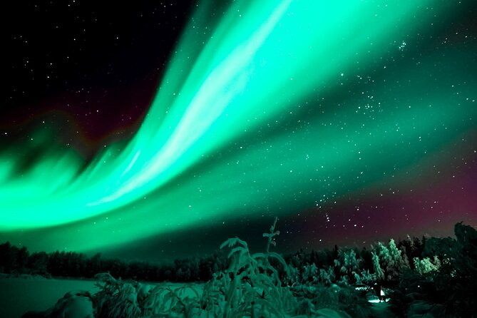 Rovaniemi: Private Aurora Tour With Guaranteed Sightings - Tour Overview