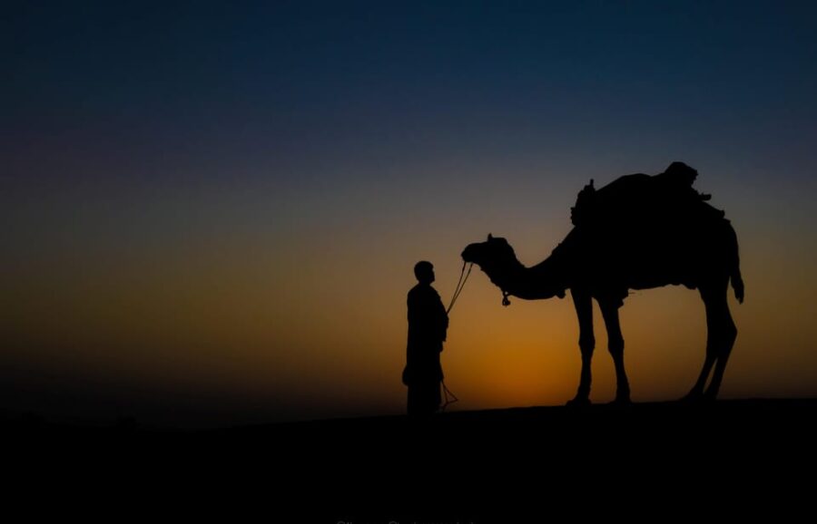 25 Best Tours In Jaisalmer