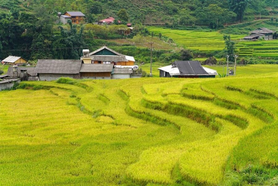 Sa Pa: Half-Day Cat Cat Village Hike to Meet Hmong People