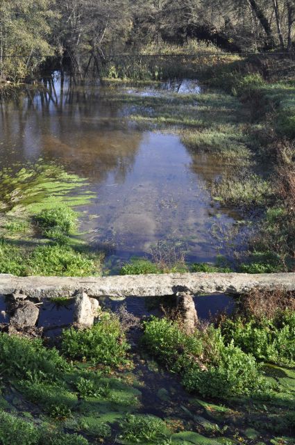 Sabugal Walking Tour: Stories and Charms of the Côa River - Tour Overview