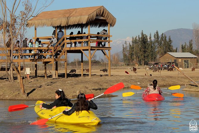 Safari Park Full Day From Santiago