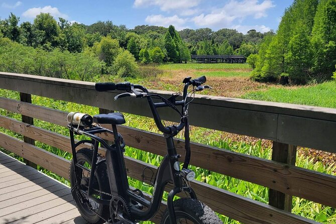 Safety Harbor Hidden Trails Guided E-Bike Adventure With Dessert