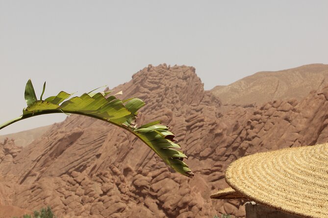 Sahara Desert Family Tour