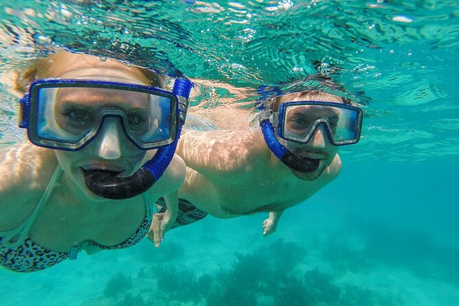 Sail, Snorkel, Picnic Lunch and Open Bar From Frenchmans Reef