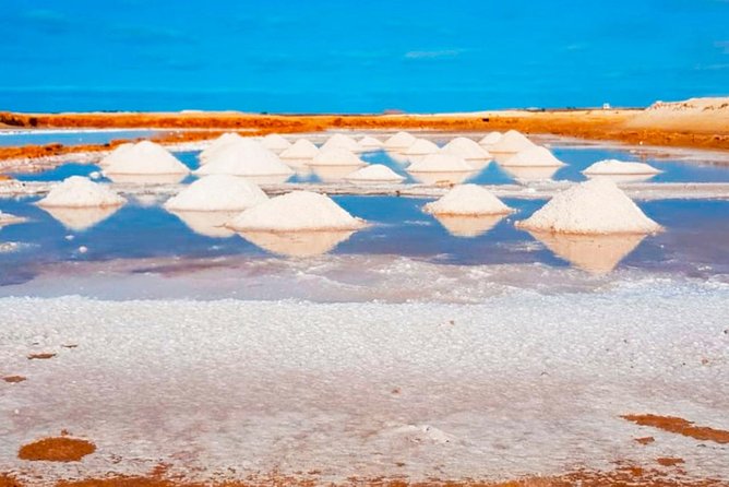 Sal Island: Guided Full-Day Highlights Tour With Lunch - Inclusions and Pricing
