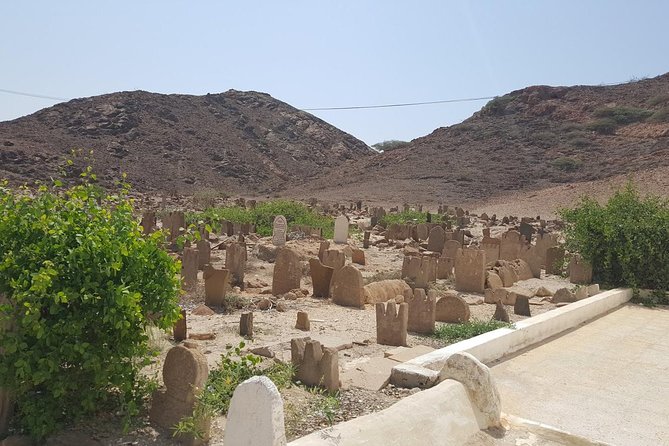 Salalah East & West Combination(Salalah Tours):Oman Shore Excursions
