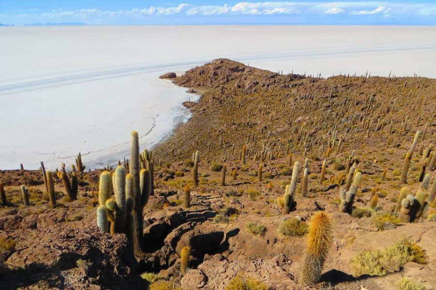 Salar De Uyuni 2d/1n + Sunset in Salar – Mirror Effect