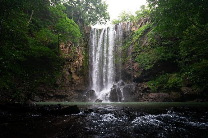 Salto El Limón Waterfalls & Cayo Levantado Tour - Overview of the Tour