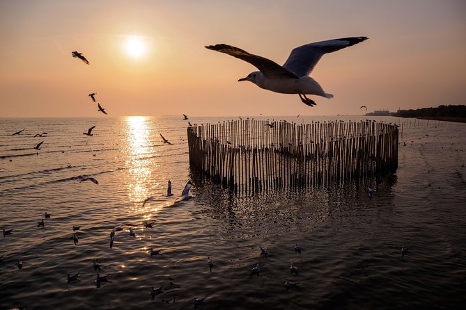 Sam Lam Centennial Market in Samut Prakan + Three Elephants Museum + Siam Ancient City + Seagulls + Xena Karin Night Market Day Trip (Weekend) - Tour Overview