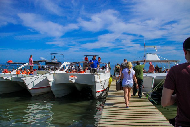 Samana Day Trip Eco-Tour - Tour Overview
