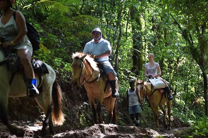 Samana With Cayo Levantado, Full Day Tour! All Inclusive - Pickup and Arrival