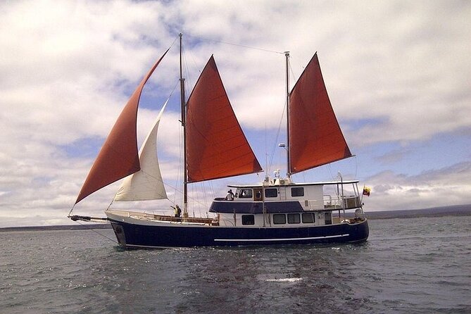Samba Cruise At Galapagos Islands