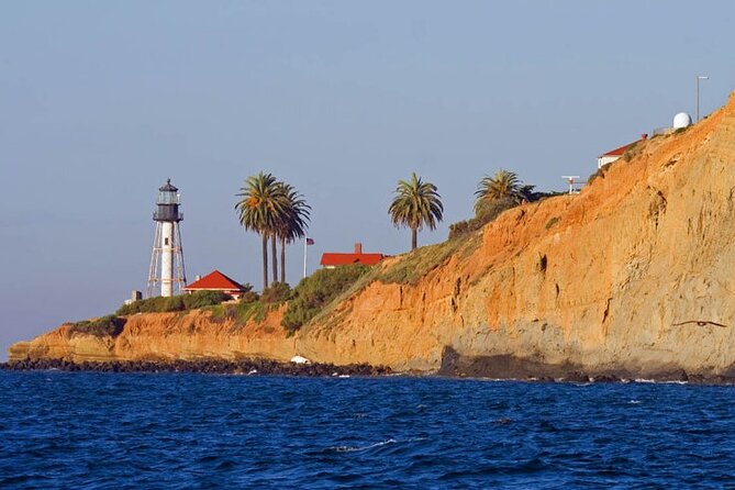San Diego: High-Speed Bay Cruise With Local Guide