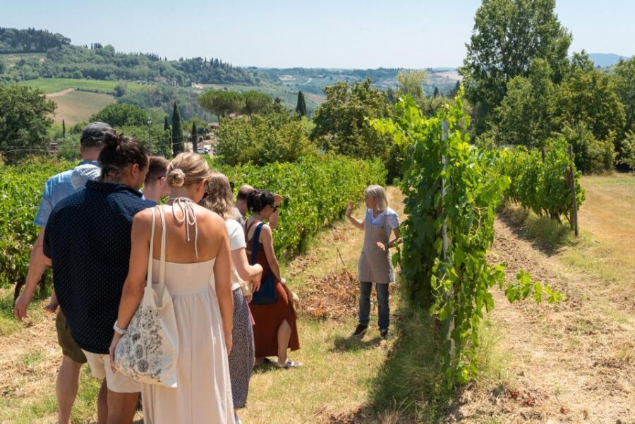 San Gimignano: Premium Wine Tour With Lunch