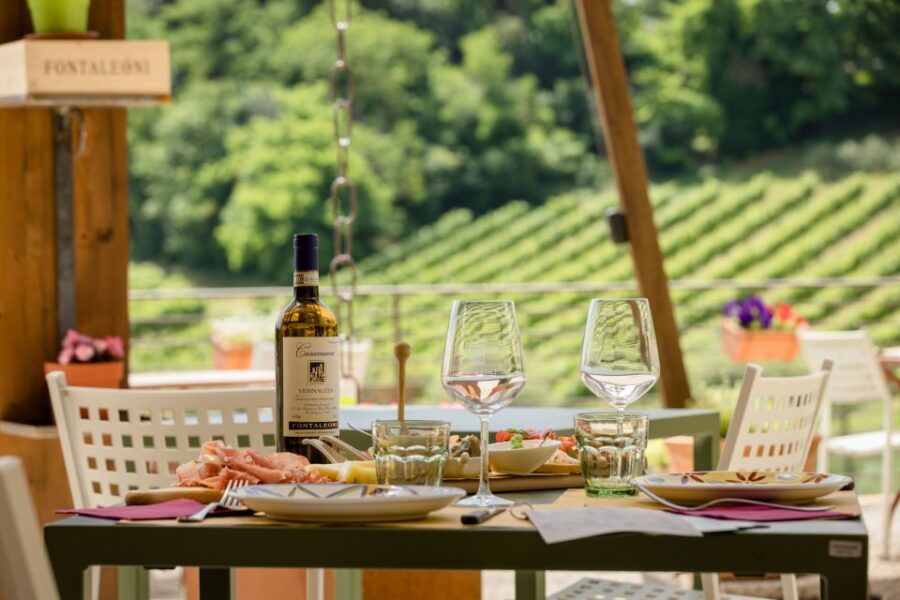 San Gimignano: Winery Tour With Wine Tasting and Lunch