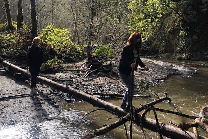 Santa Cruz Redwoods Forest Therapy