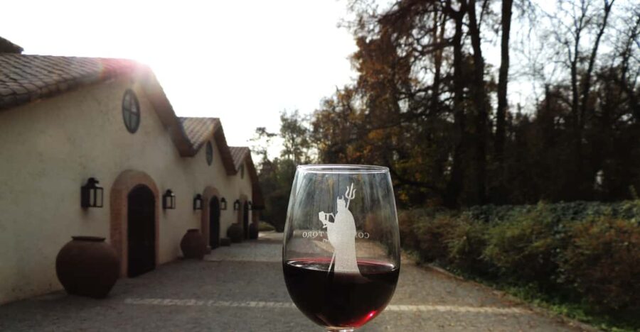 Santiago: Concha Y Toro and Undurraga Vineyards Tour