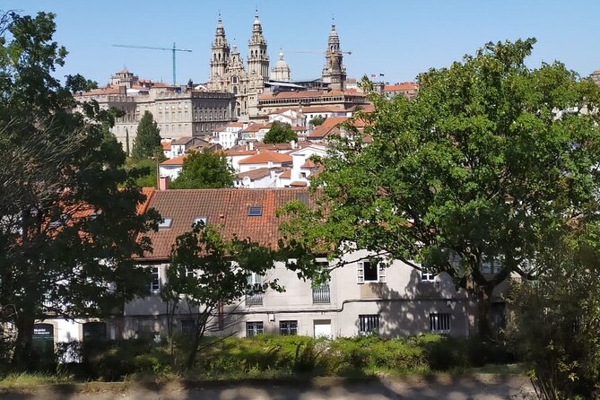Santiago De Compostela: Walking Tour With a Local Guide - Inclusions and Exclusions
