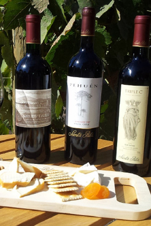 Santiago: Half–Day Santa Rita Vineyard Tour
