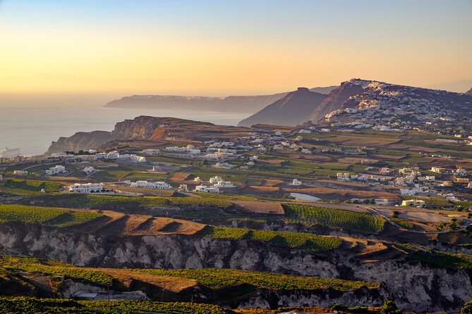 Santorini Local Wineries Tour