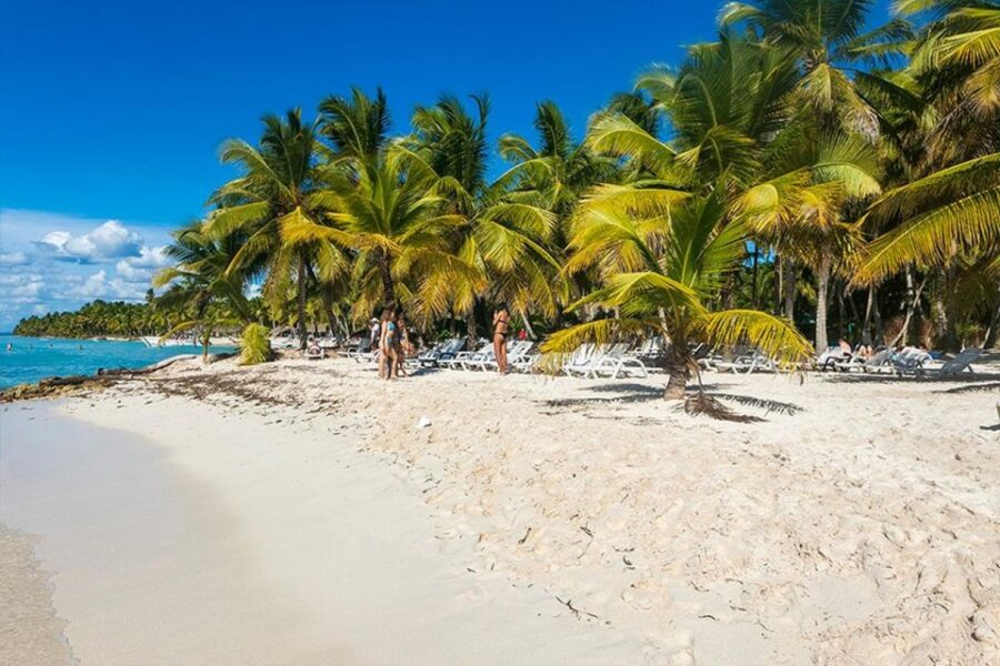 Saona Island Excursion With Lunch and Open Bar