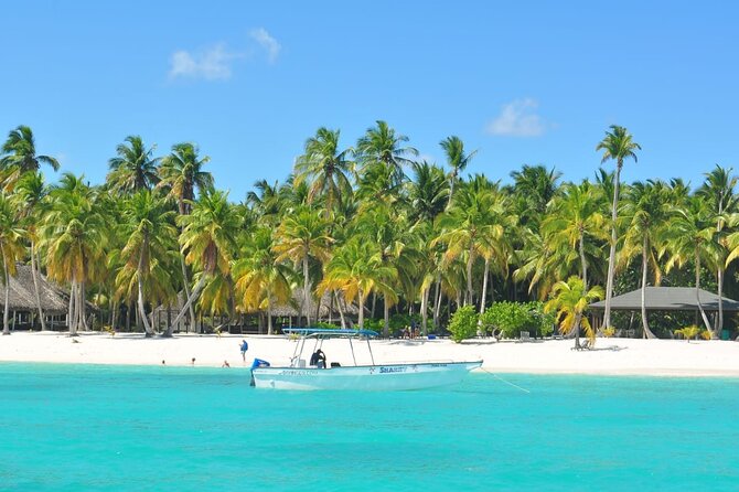 Saona Island Full-Day Tour From Boca Chica