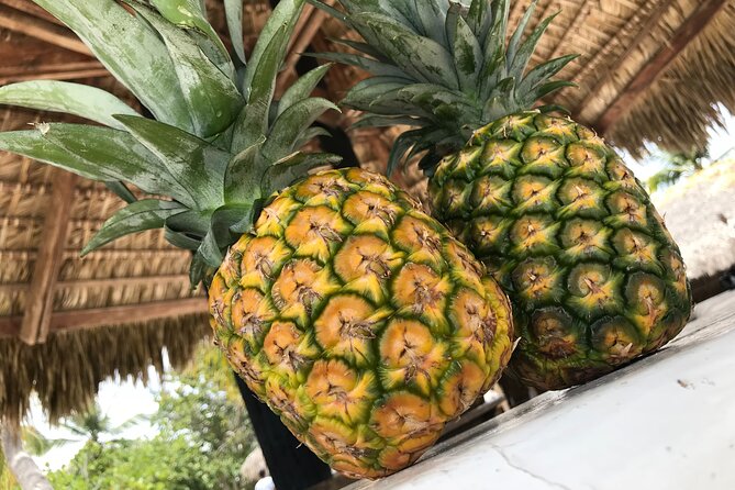 Saona Island Full Day Tour From Las Terrenas