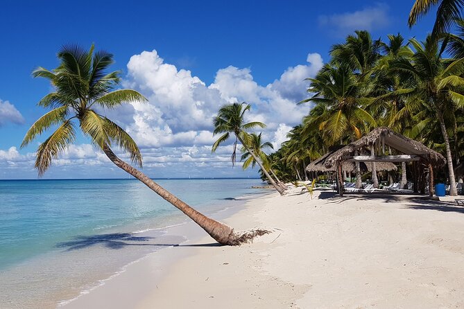 Saona Island Full-Day Tour From Santo Domingo