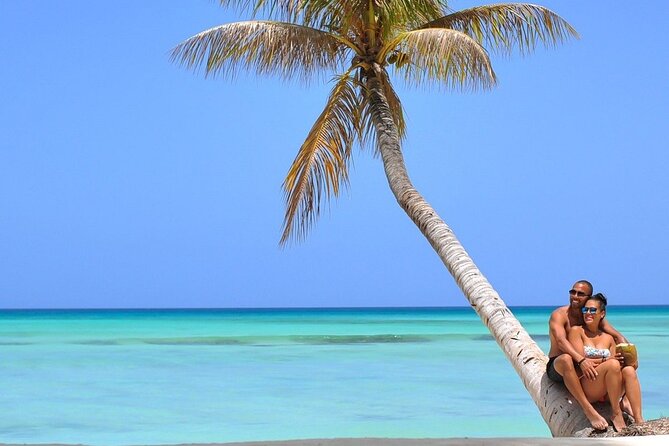 Saona Island Tour: All Buffet, Speedboat Catamaran - Tour Overview